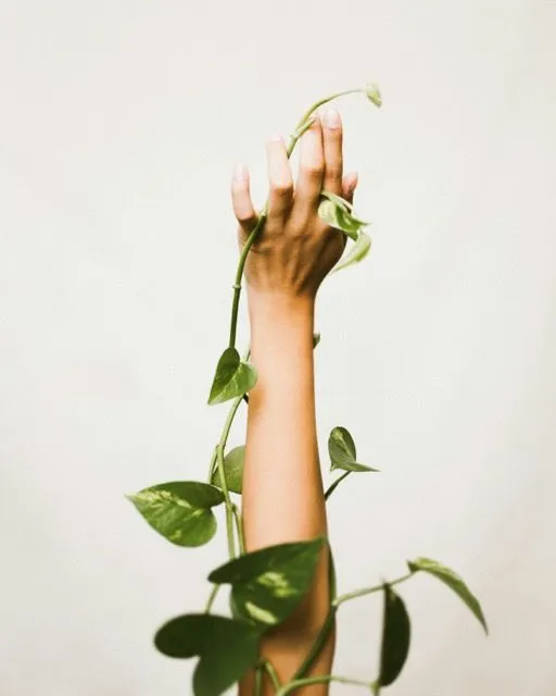 abstract of arm and vine