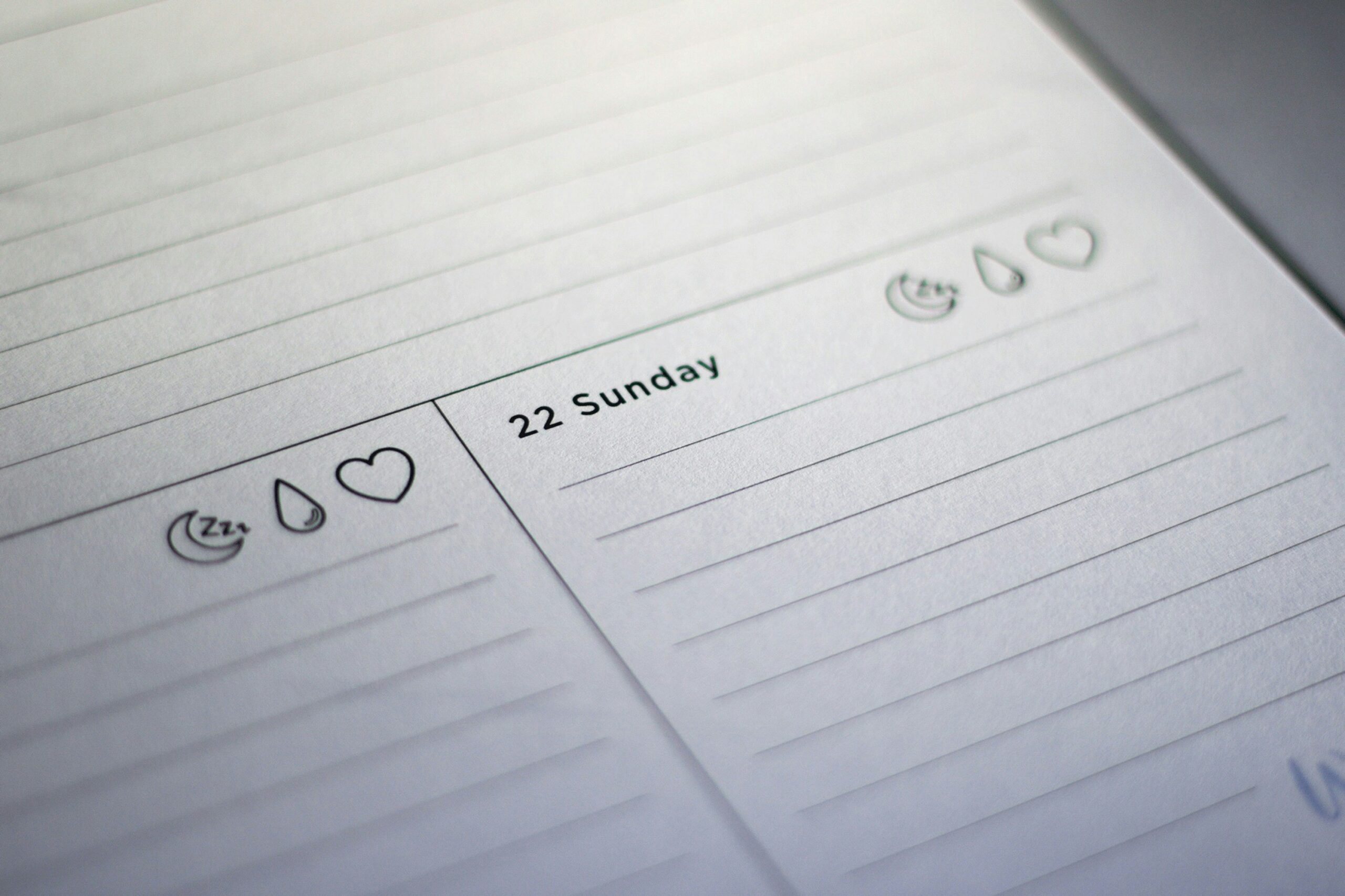 Health journal